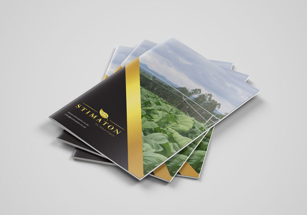 company profile tobacco zimbabwe